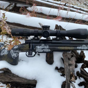 Impact Precision Shooting Action 737T - Right Handed, Full Rail Titan, AW Cut