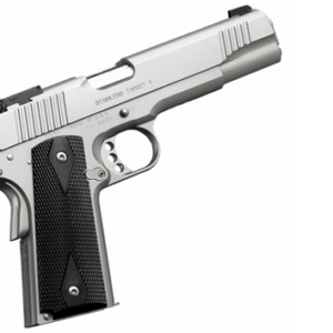 Kimber 3200107 Stainless Target II 8+1 10mm 5"
