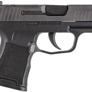 Sig Sauer P365-380 Semi-Automatic Pistol