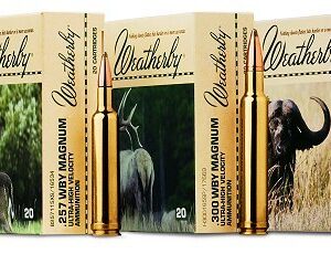 Weatherby 270WBY 130 BTS 20 - Ammo