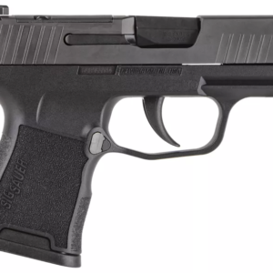 Buy Sig Sauer P365 Nitron Micro-Compact Optics-Ready Semi-Auto Pistol with Siglite Sights