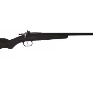 Crickett .22 LR Single Round w/Blue Barrel & Black Syn