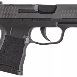 Sig Sauer P365 Nitron Micro-Compact Optics-Ready Semi-Auto Pistol with Siglite Sights