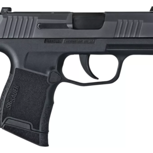 Sig Sauer P365 Nitron Micro-Compact Semi-Auto Pistol - 365-9-BXR3