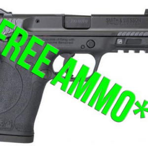 Smith & Wesson M&P380 Shield EZ .380acp 3.6" 8+1 Manual Safety 11663