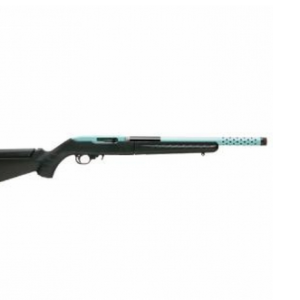 Ruger 10/22 .22 LR BLUE W/ TURQUOISE RCVR & BBL